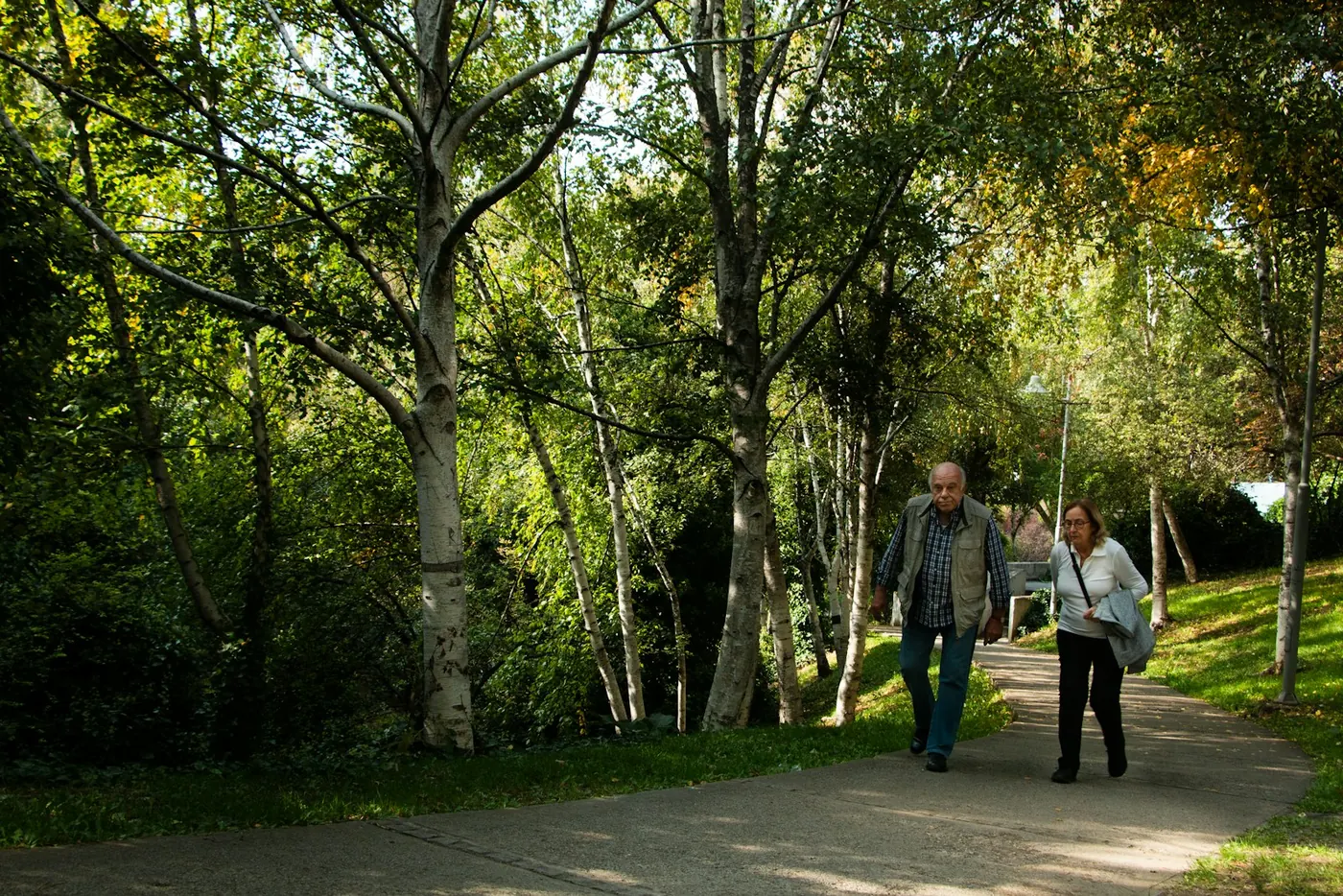 Two people walking along a tree-lined path